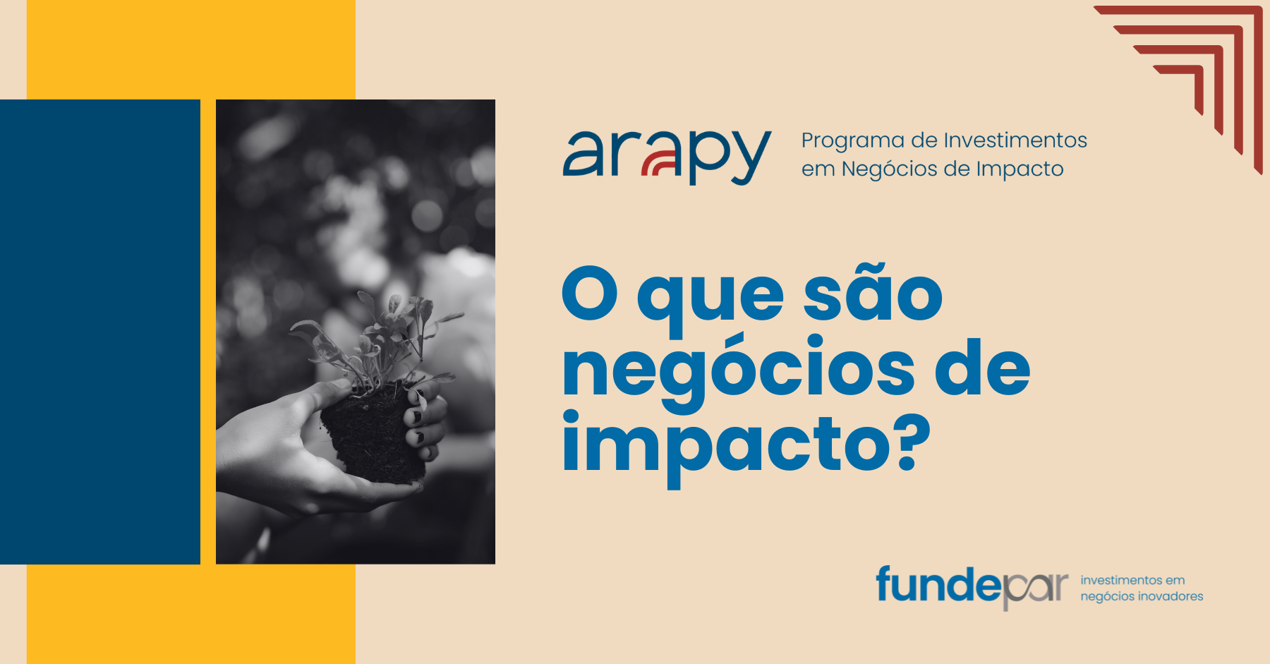 Instituto Sabin abre inscrições para programa de aceleração de negócios de impacto social